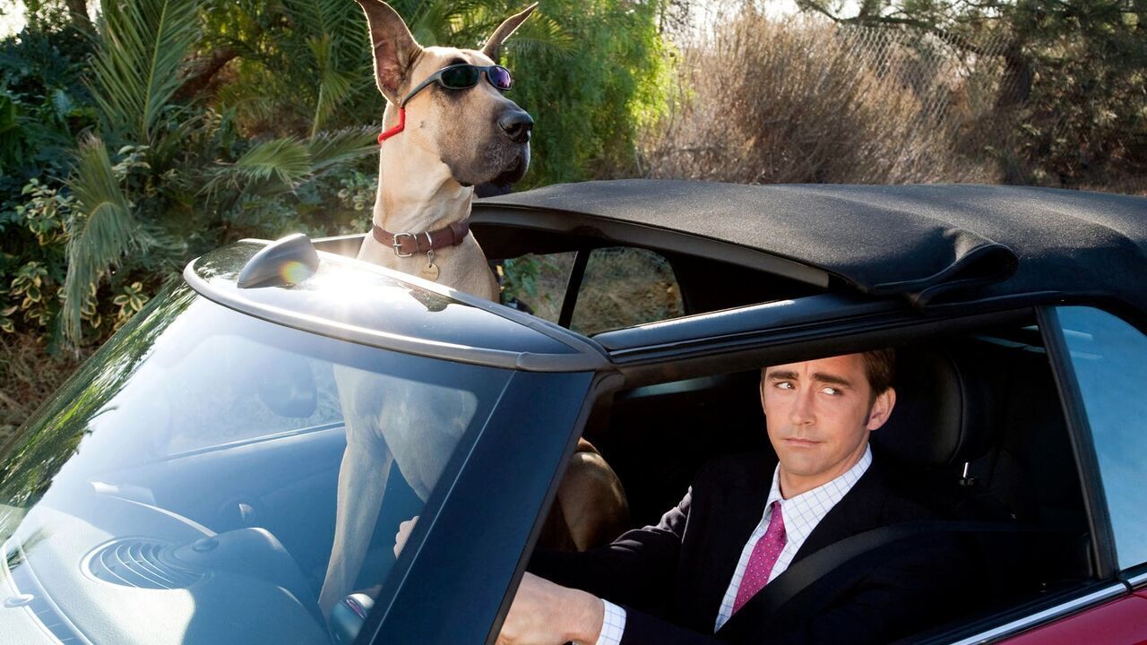 MARMADUKE
